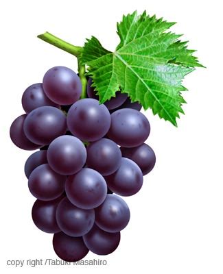 @Grape.