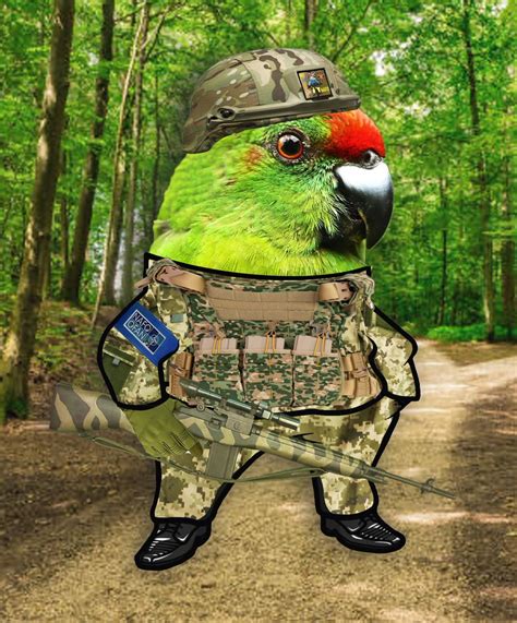 @parrot.