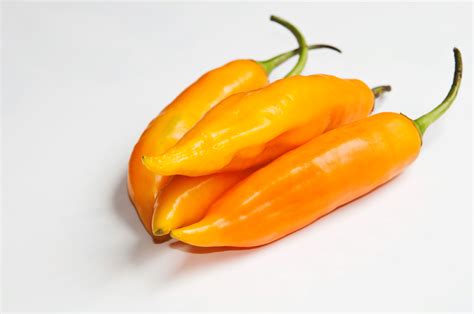 AJI.