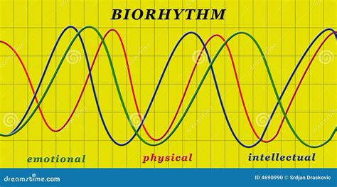 Biorhythm.