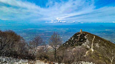 MONTE.