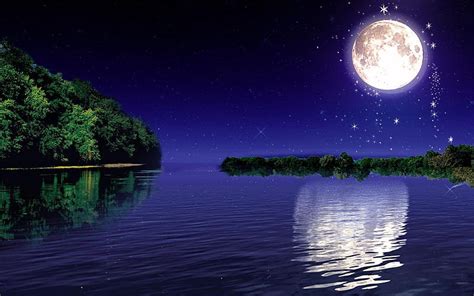 Moonlight.
