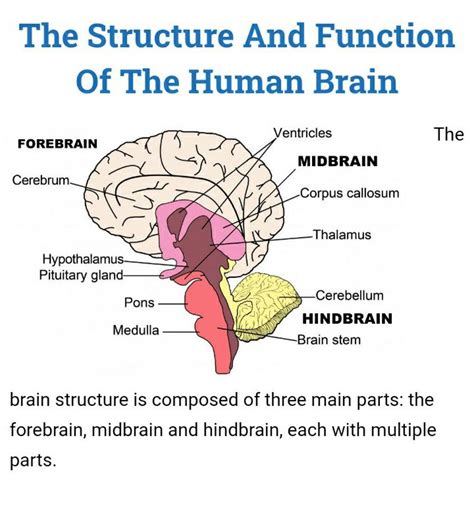 Structure.