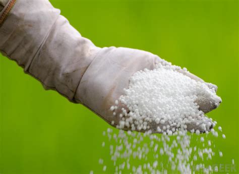 Urea.
