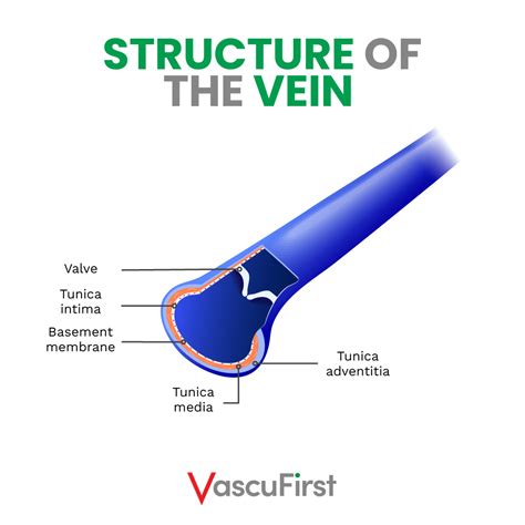VEIN.