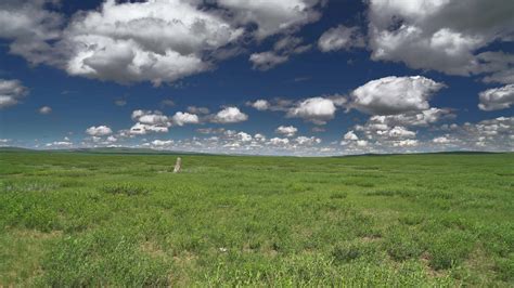 Vast.