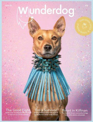 Wunderdog.