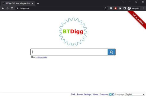 btdig.com.