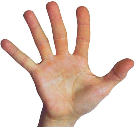 finger.
