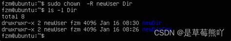 linux修改文件所有者.