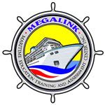 megalinkmetacenterinc.com.