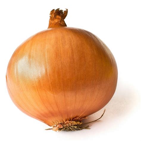 onion.