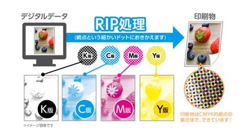ripとは.