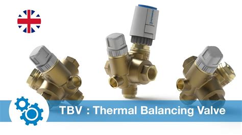 tbv95.