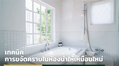 เทคนิคการขจัดคราบในห้องน้ำให้เหมือนใหม่.