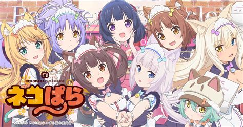 ネコぱら公式サイト.