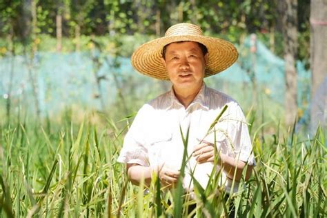 何光存研究组在水稻抗虫机制研究领域取得新进展.
