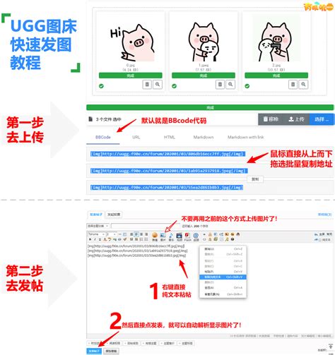有叽叽游戏社论坛.